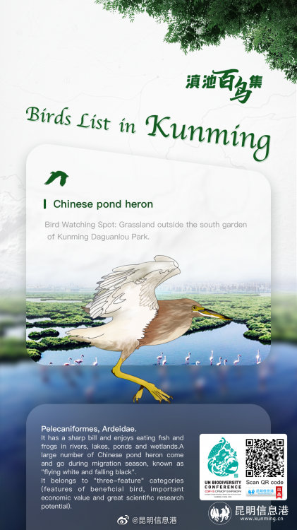 昆明信息港