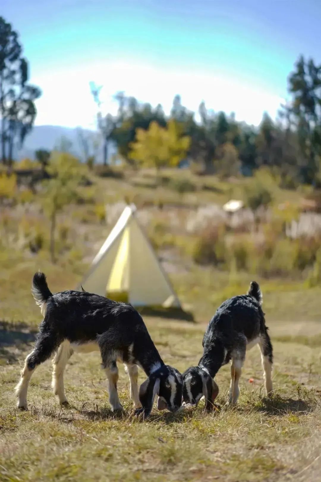 昆明阳宗海风景名胜区