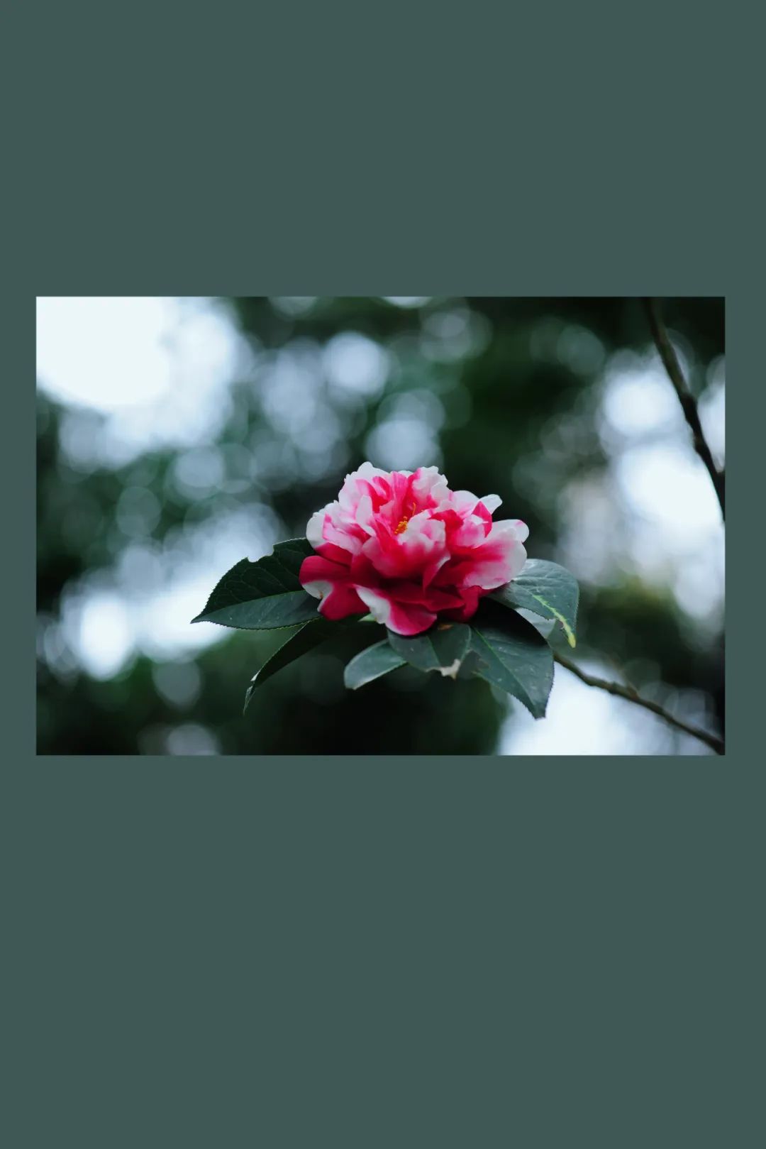 昆明市金殿名胜区