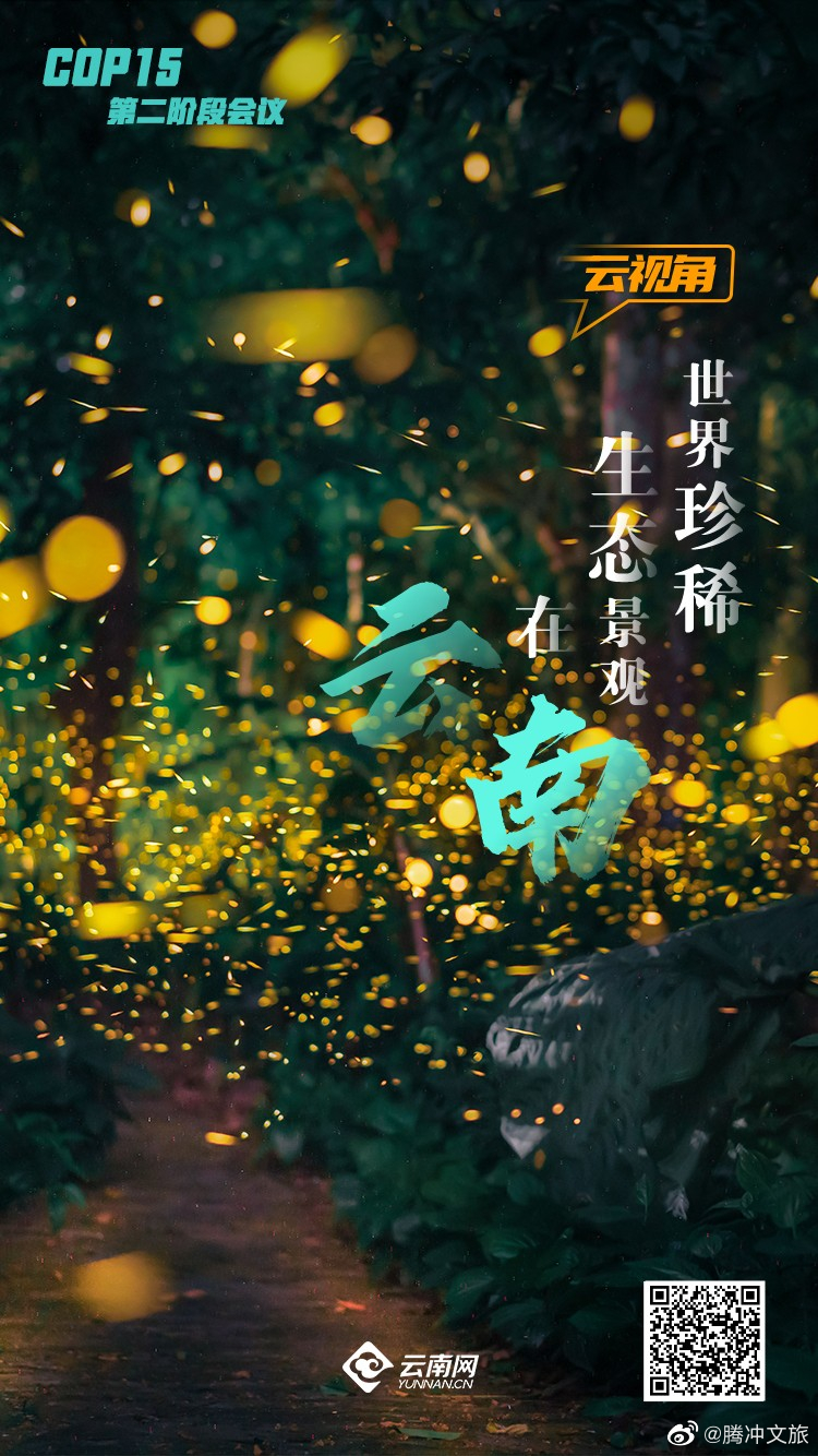 云视角 | 来云南，赴一趟世界珍稀生态景观之旅
