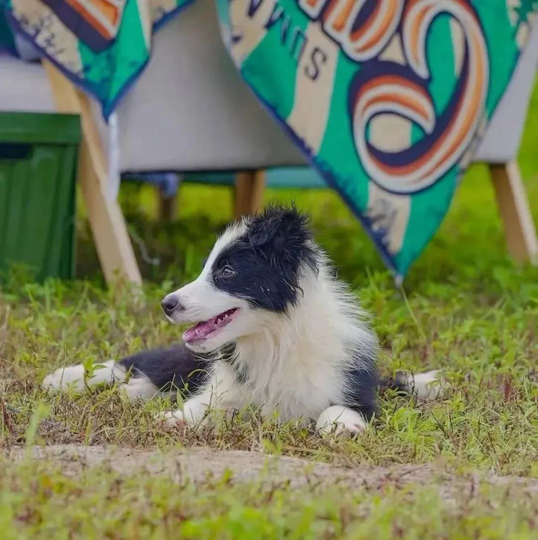 昆明阳宗海风景名胜区