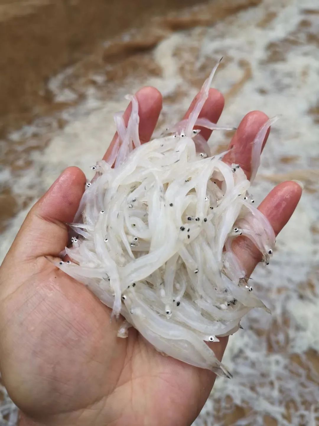 昆明阳宗海风景名胜区