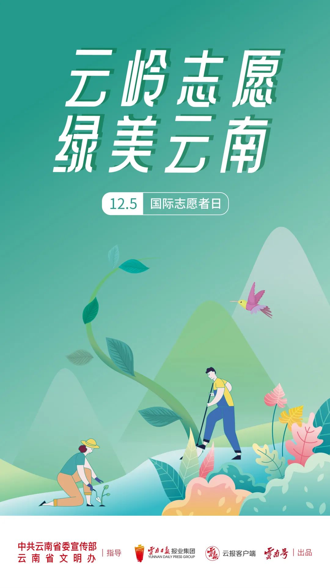 玉溪发布