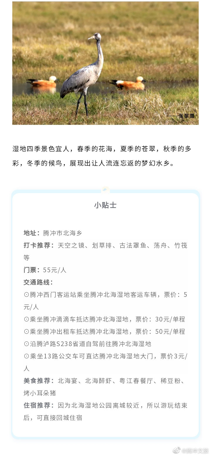 腾冲文旅微博