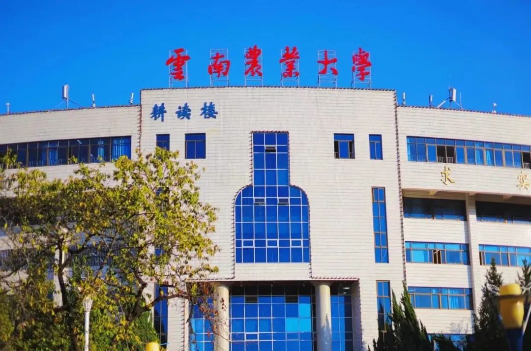 文旅云南
