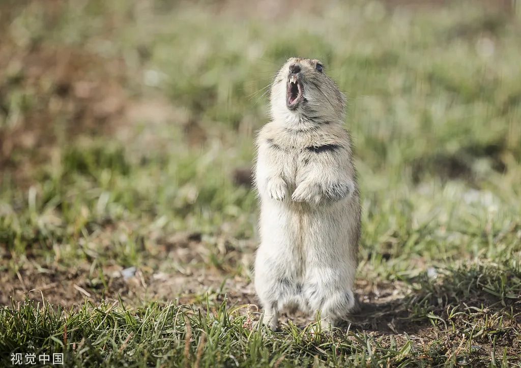 美丽云南微科普