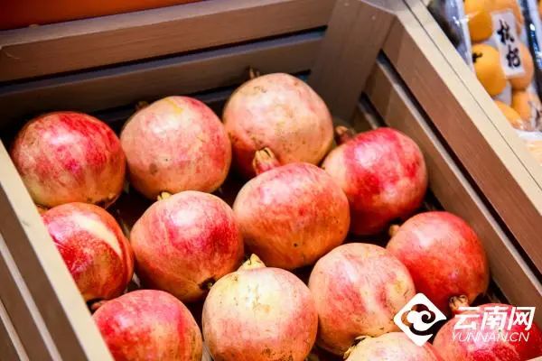 昆明市农业农村局