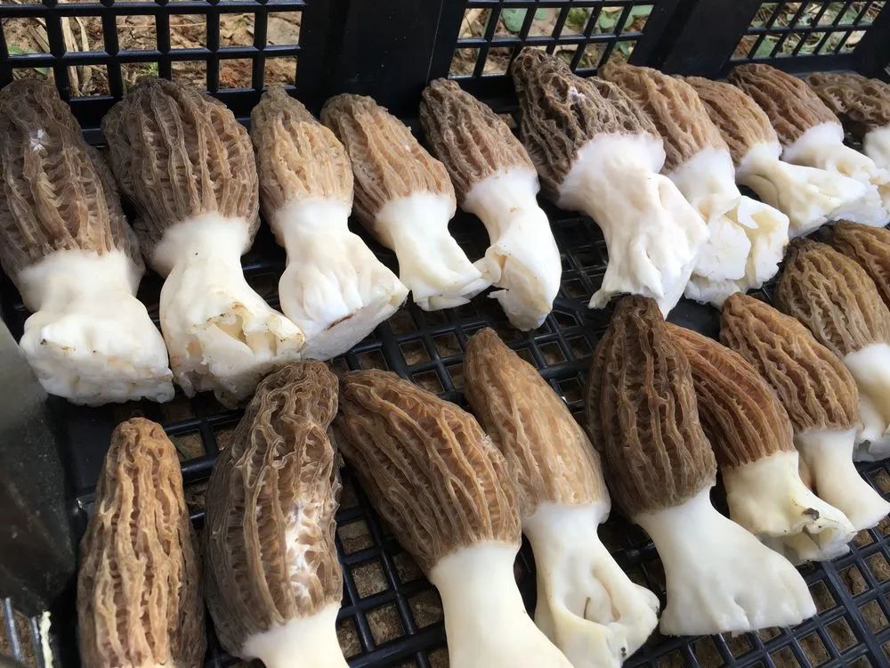 玉溪发布