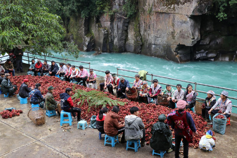 文旅云南