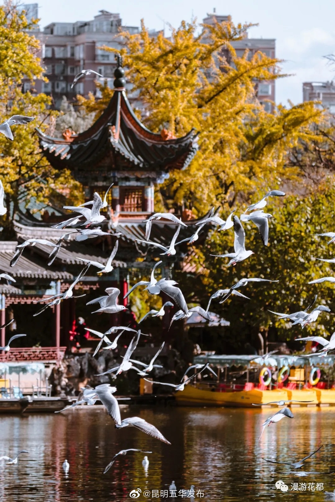 昆明五华发布
