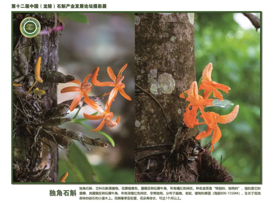 保山广播电视台