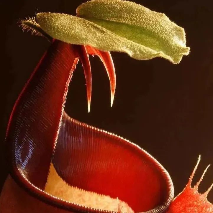 昆明阳宗海风景名胜区