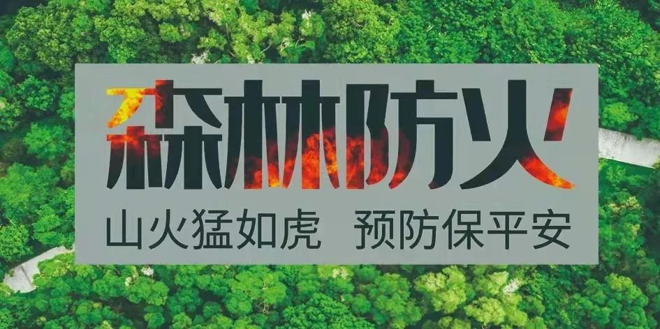 丽江日报