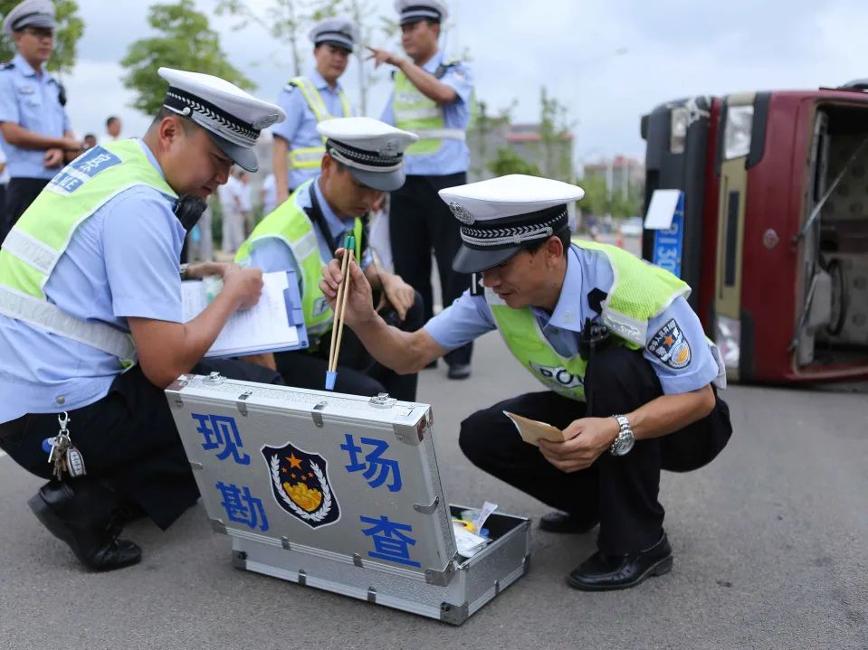 云南政法