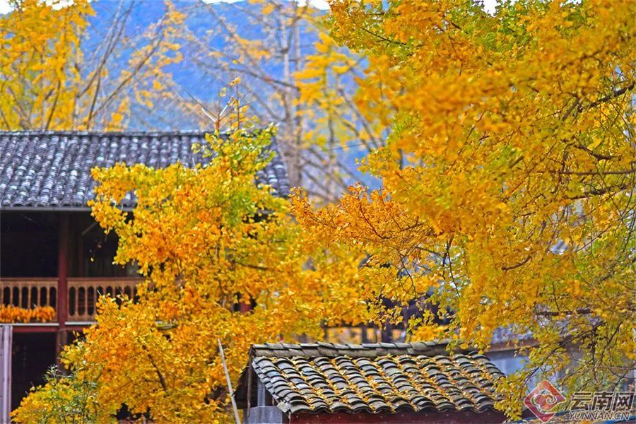 文旅云南