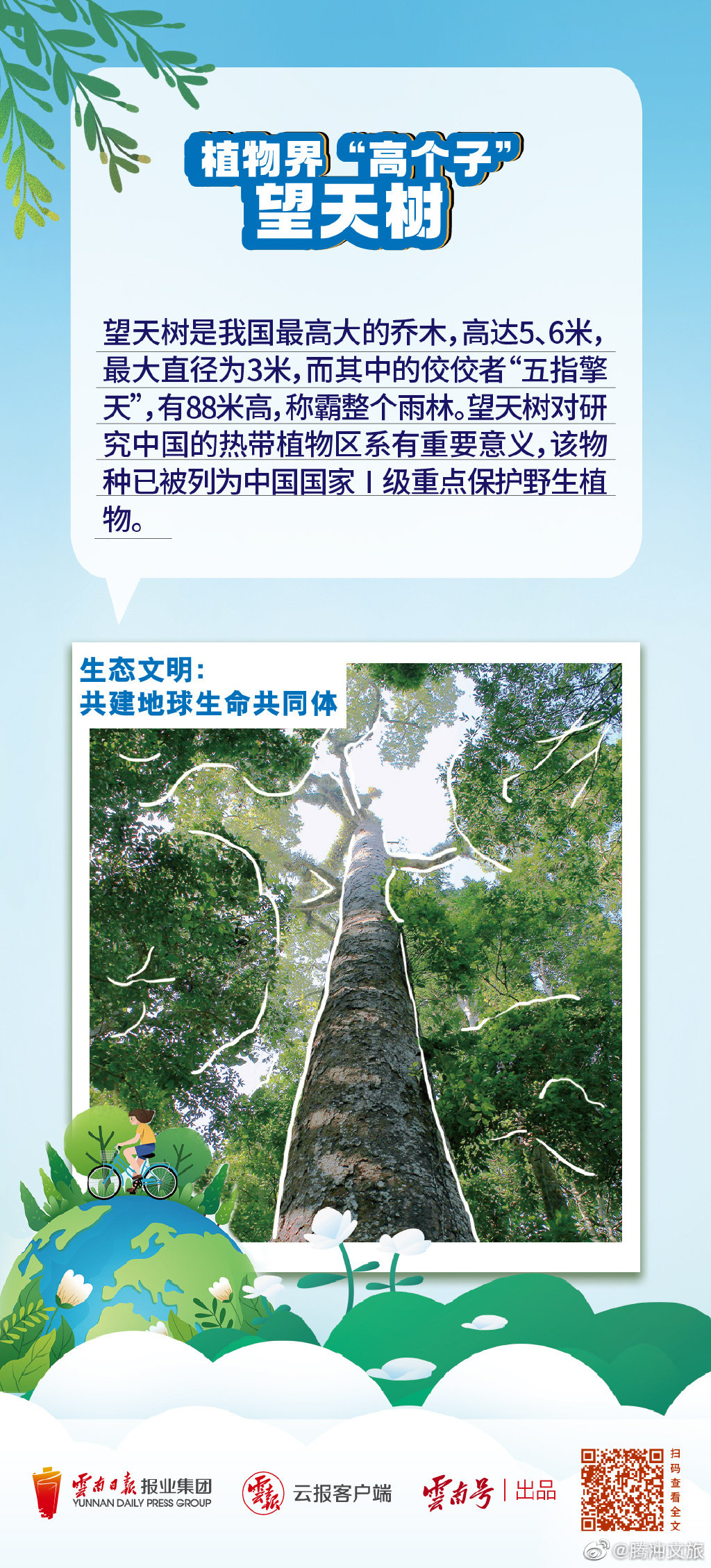腾冲文旅微博