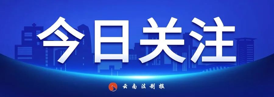 云南法制报