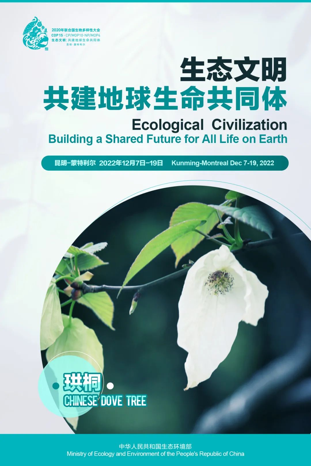 玉溪发布