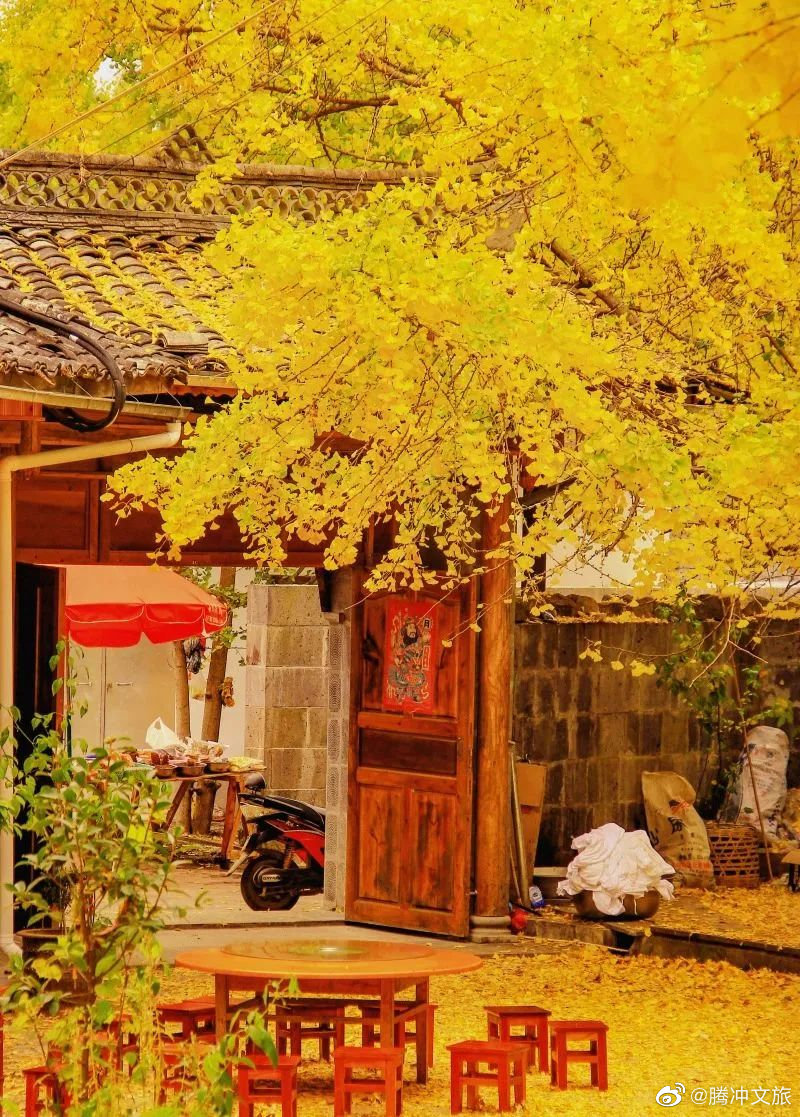 腾冲文旅微博