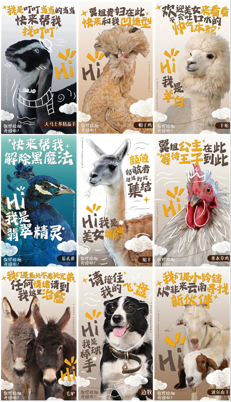 昆明阳宗海风景名胜区