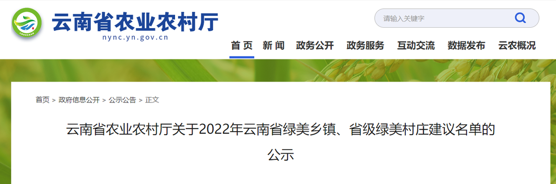 大理电视台
