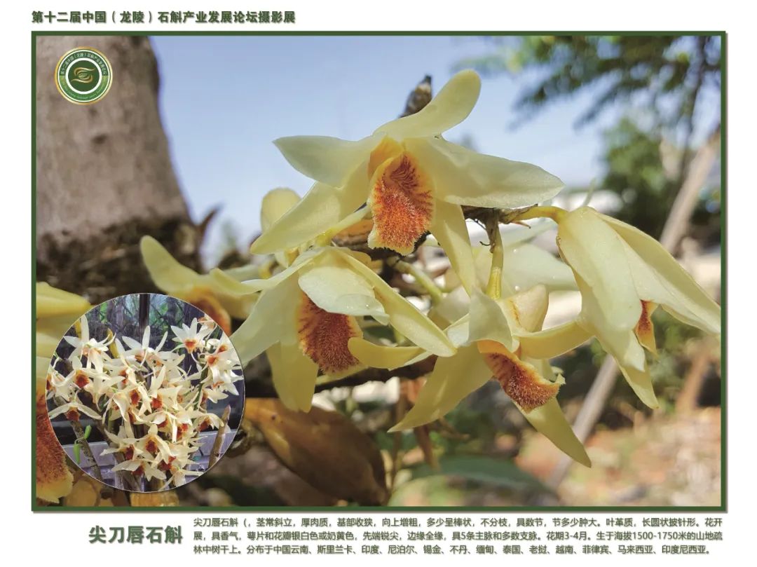 保山广播电视台