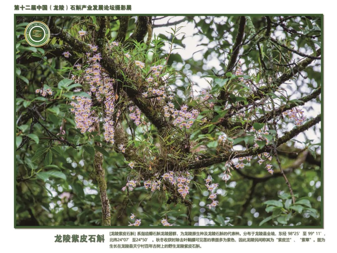 保山广播电视台
