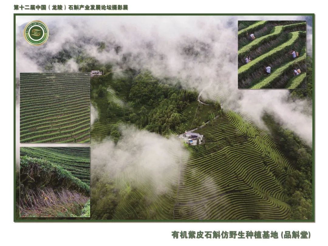 保山广播电视台