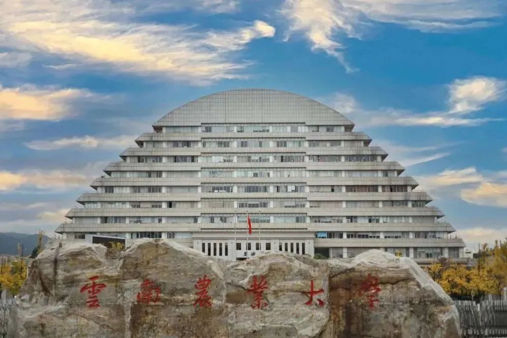文旅云南