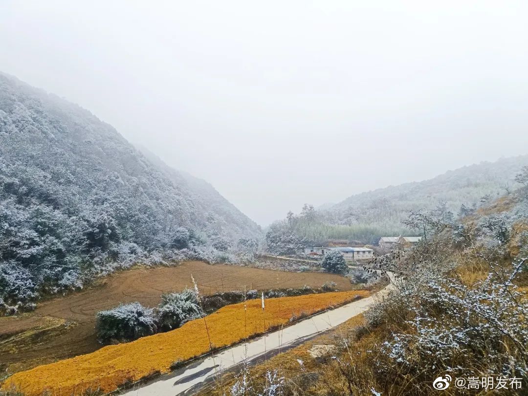 嵩明发布