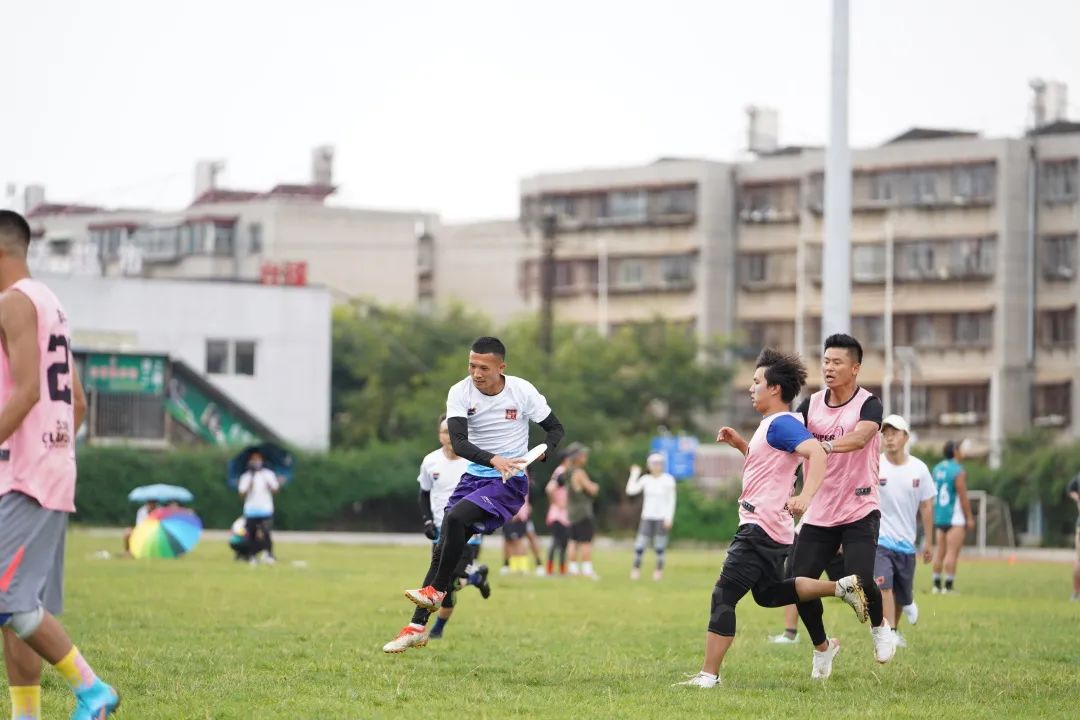 春城晚报