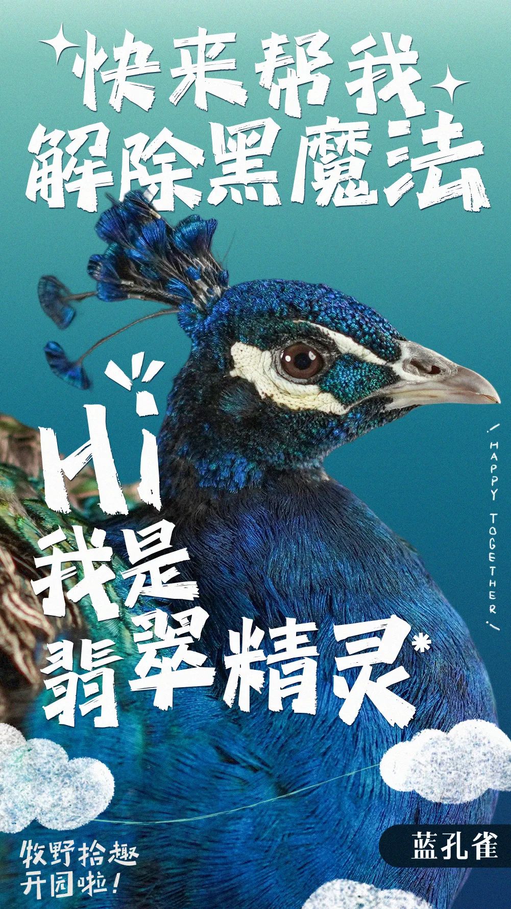掌上春城