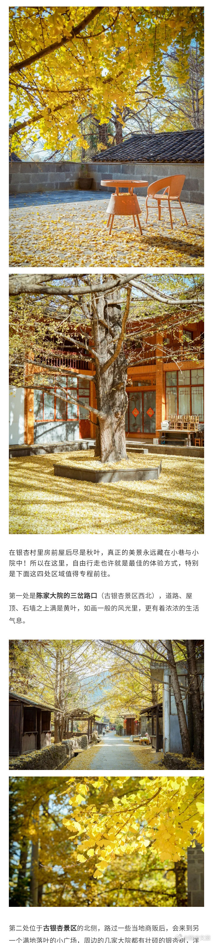 腾冲文旅微博