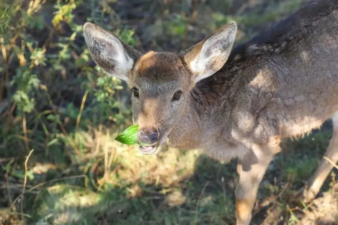 昆明阳宗海风景名胜区