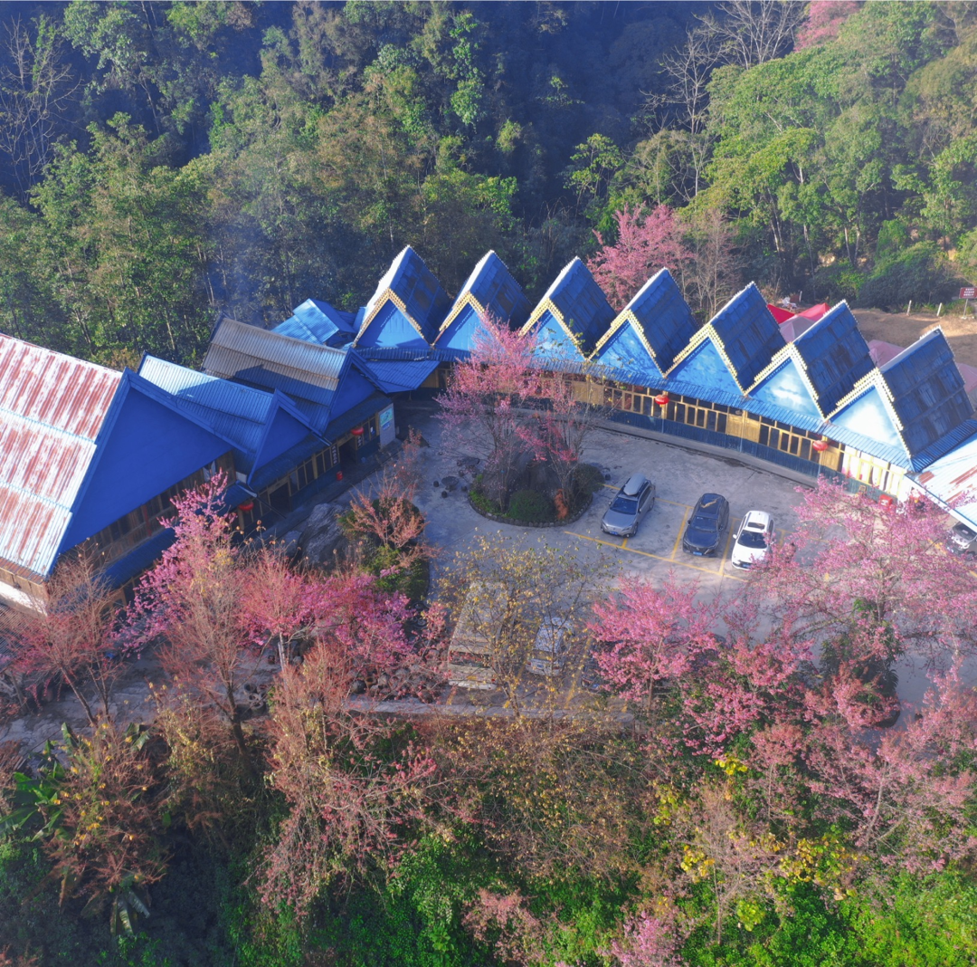 保山新闻网