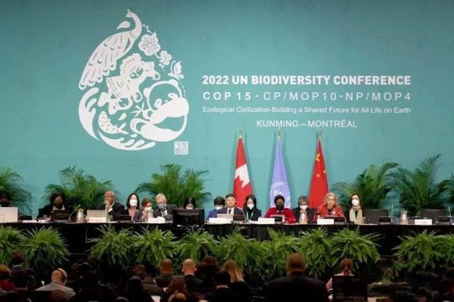 昆明国家高新区发布