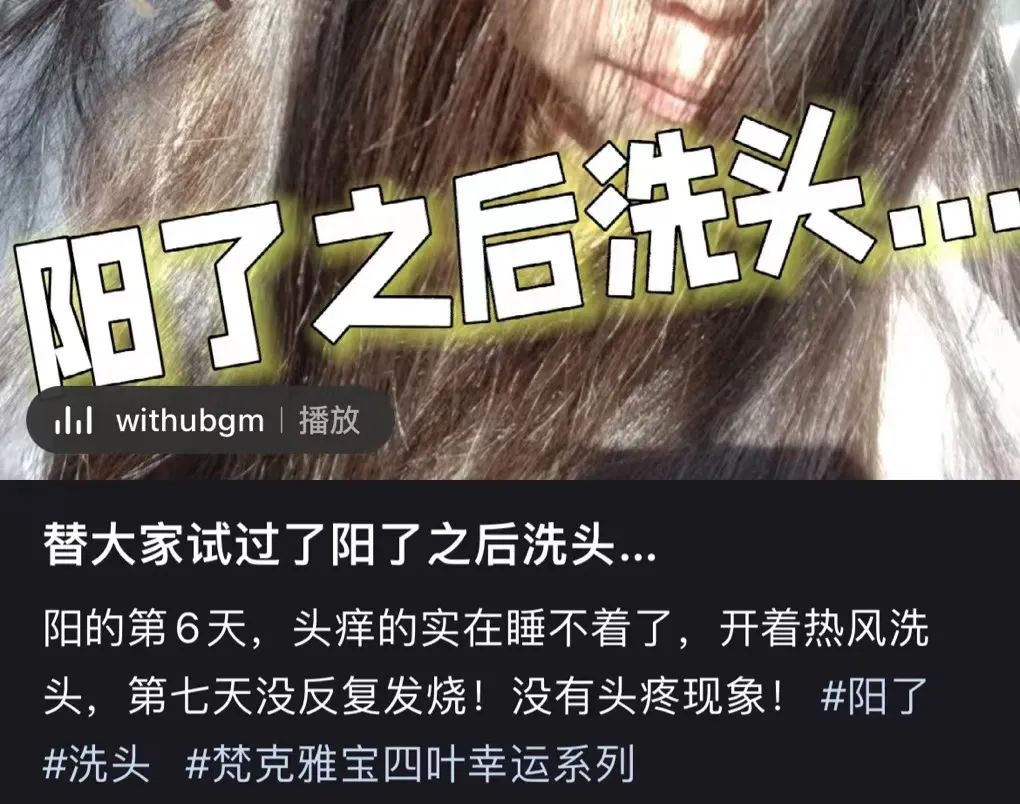 春城晚报