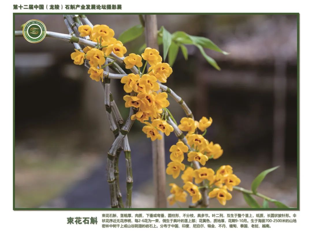 保山广播电视台