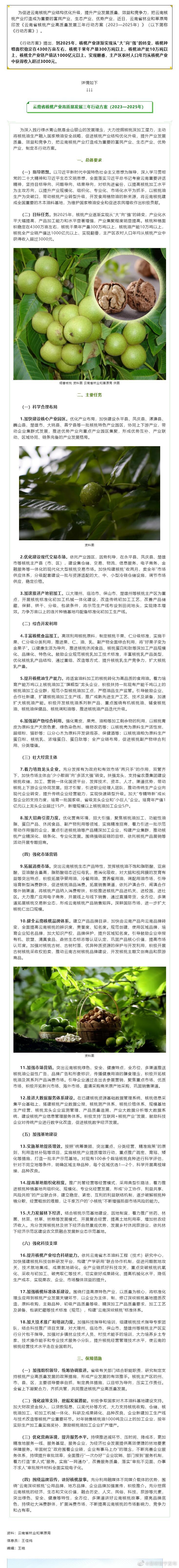 “大”→“强” ！云南将打造产值千亿元以上的核桃全产业链