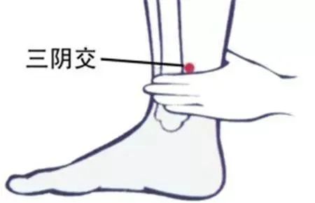 云南省中医医院