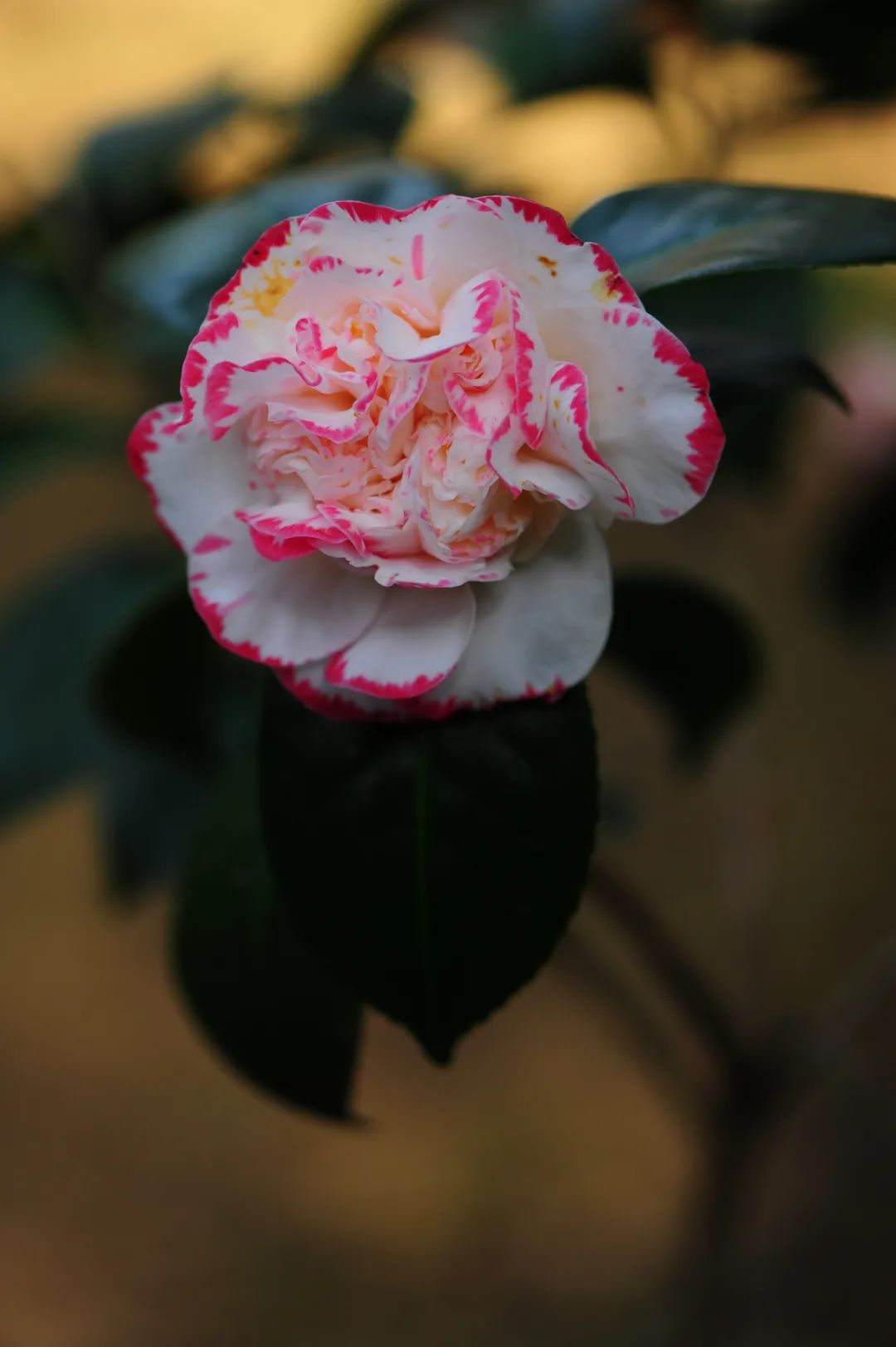 昆明市金殿名胜区