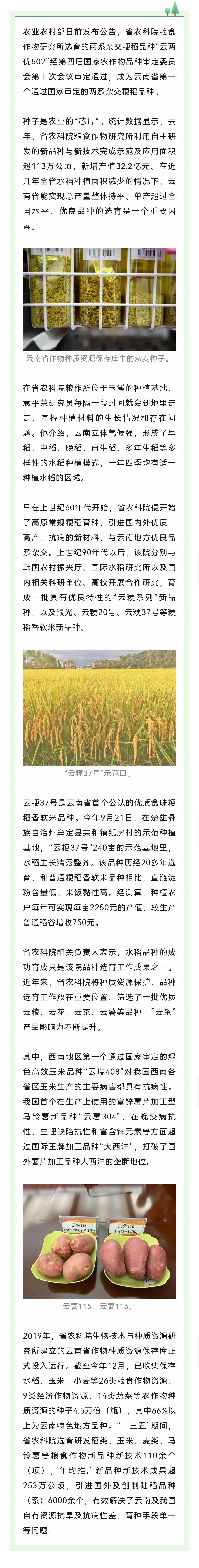 昆明市农业农村局