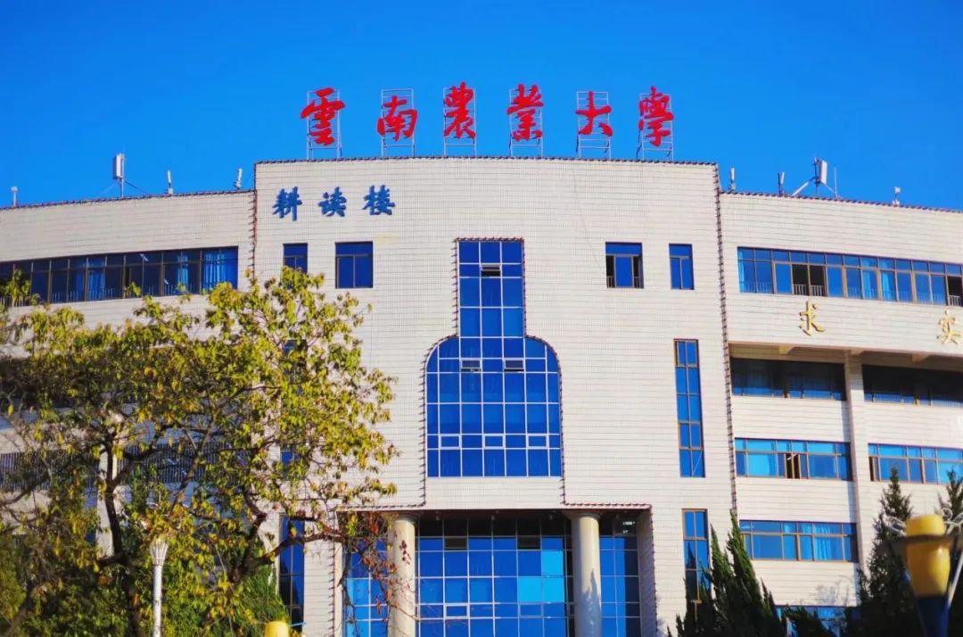 云南省文化和旅游厅