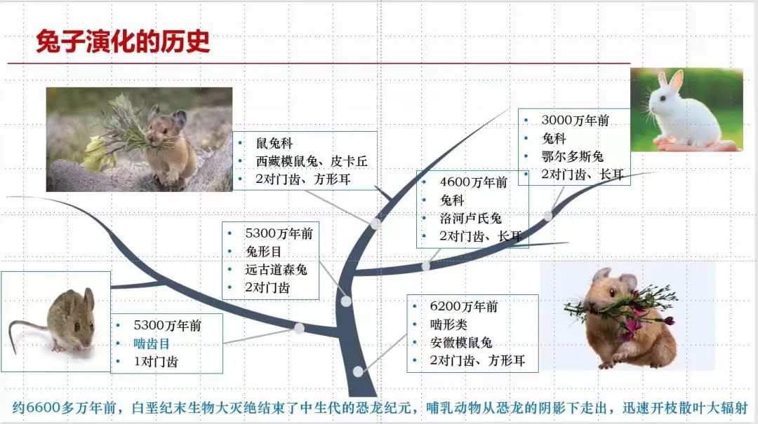 美丽云南微科普