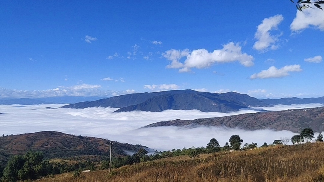 云南省文化和旅游厅