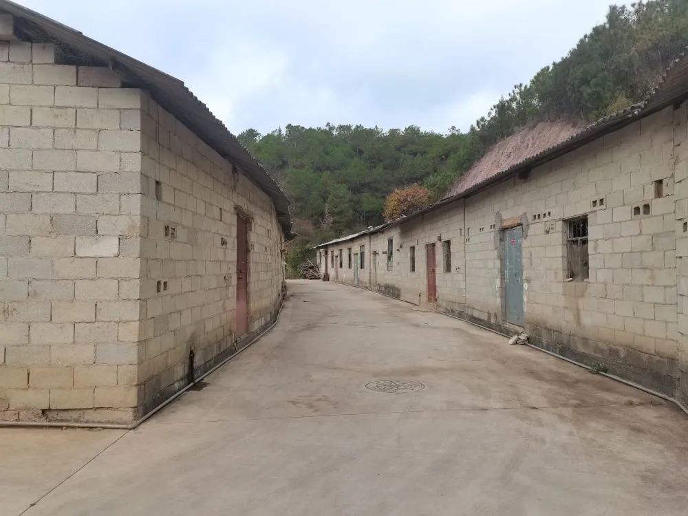 玉溪发布