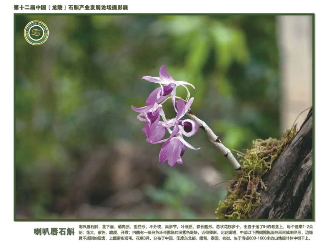 保山广播电视台