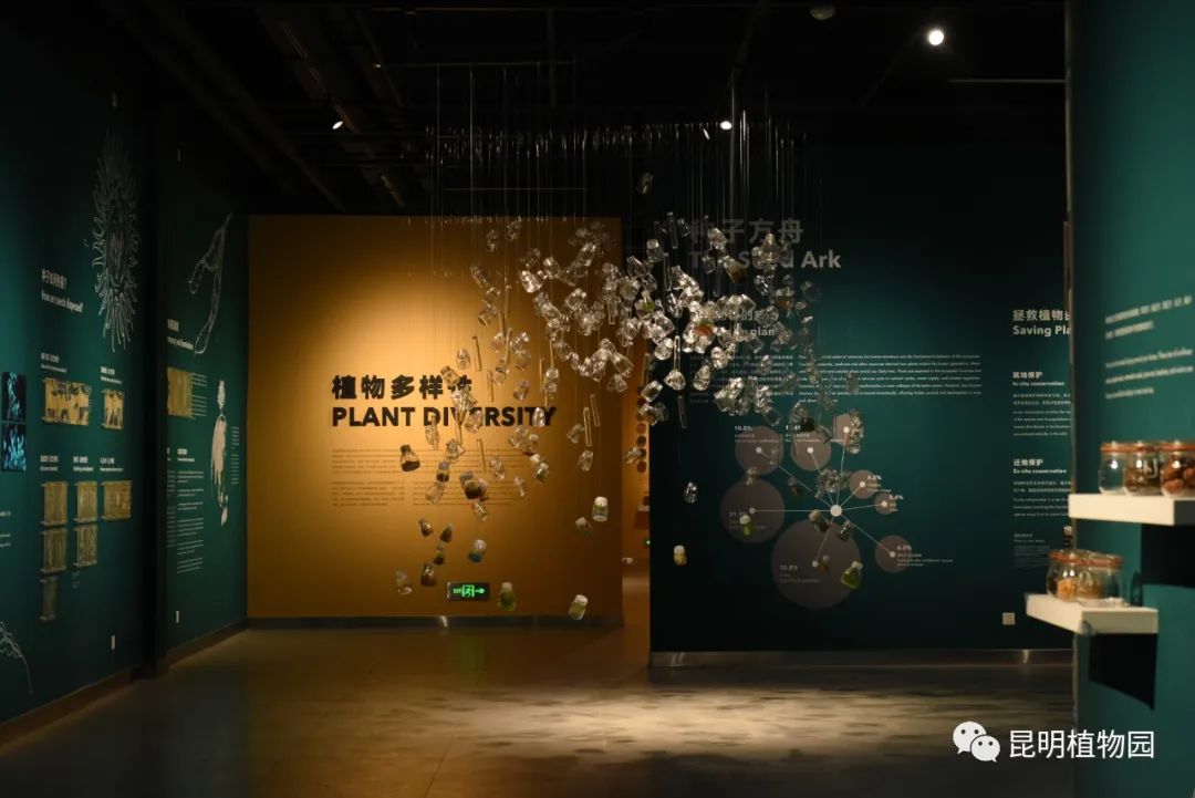 种子博物馆临时闭馆的通知