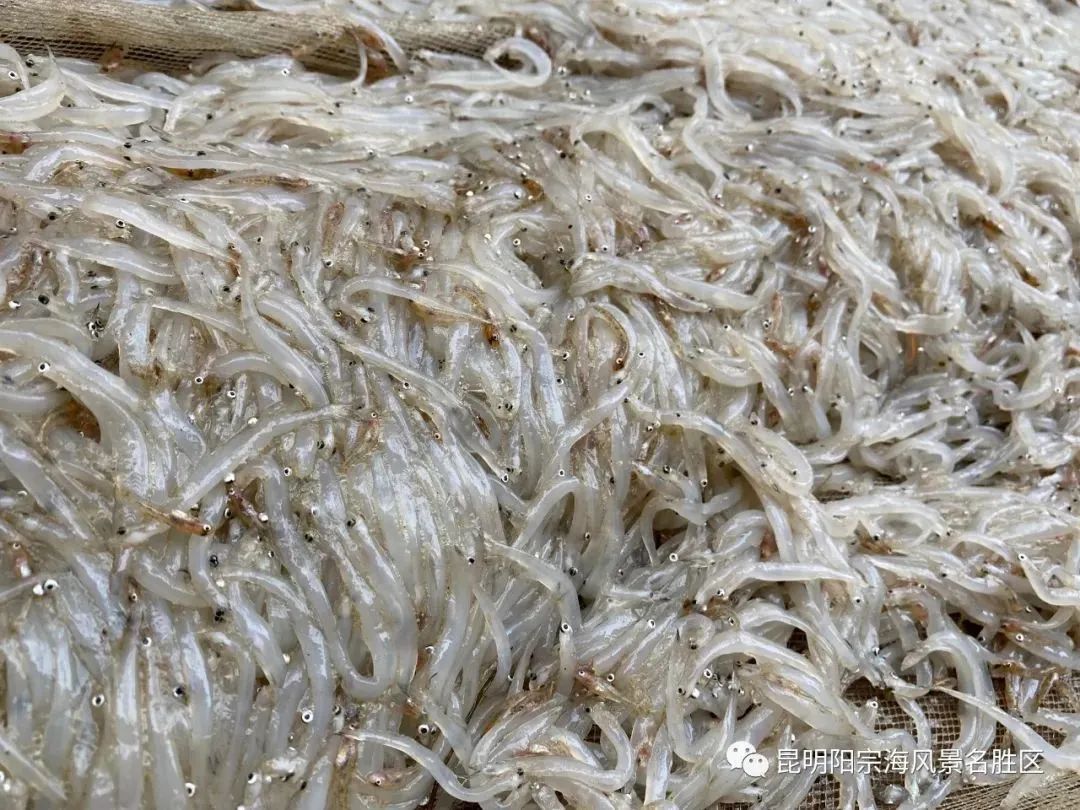 昆明阳宗海风景名胜区