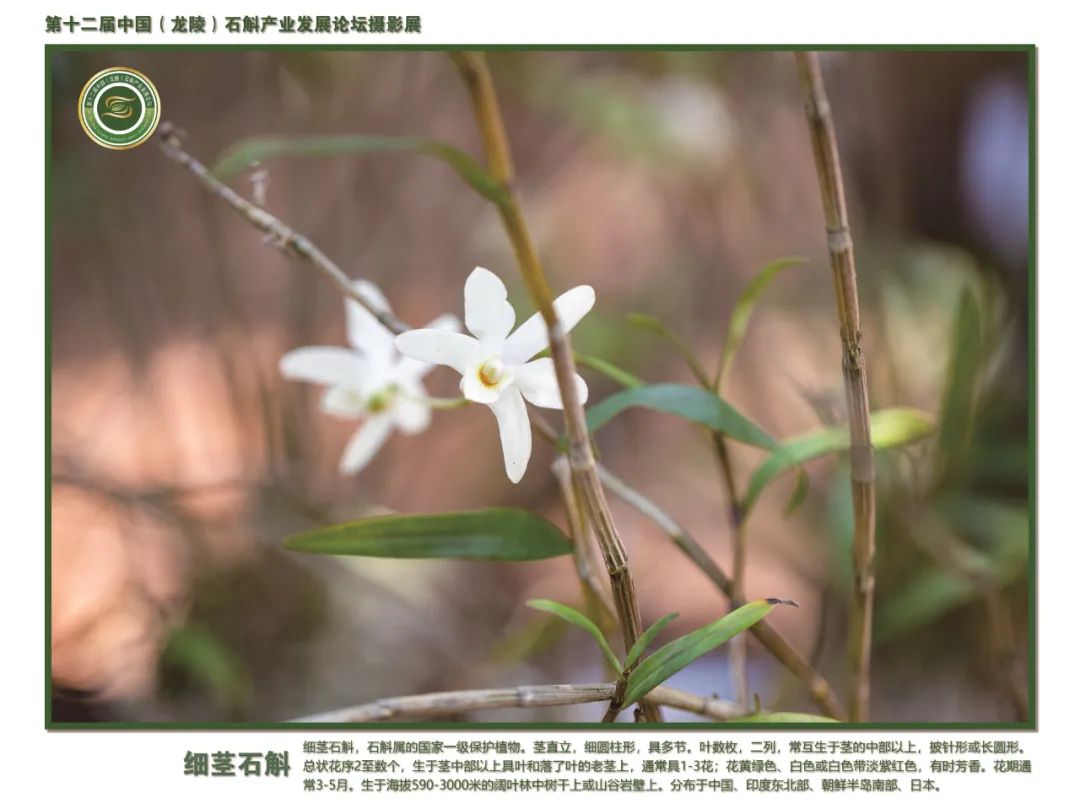 保山广播电视台